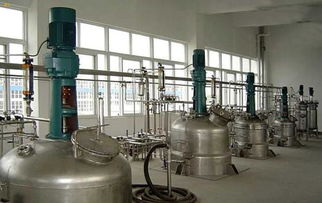 黄浦江源安吉白茶报价 厂家