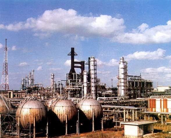 建国后最大间谍案:广州机场截获2只老鼠,体内藏绝密情报?